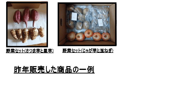 商品イメージ